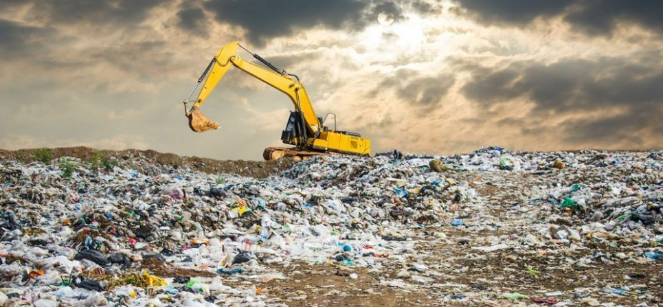 Всемирный день предотвращения загрязнения окружающей среды 2025 — защита природы и здоровья