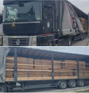 Контрабанда деревини на Закарпатті: викрито схему експорту букових дощок за підробленими документами