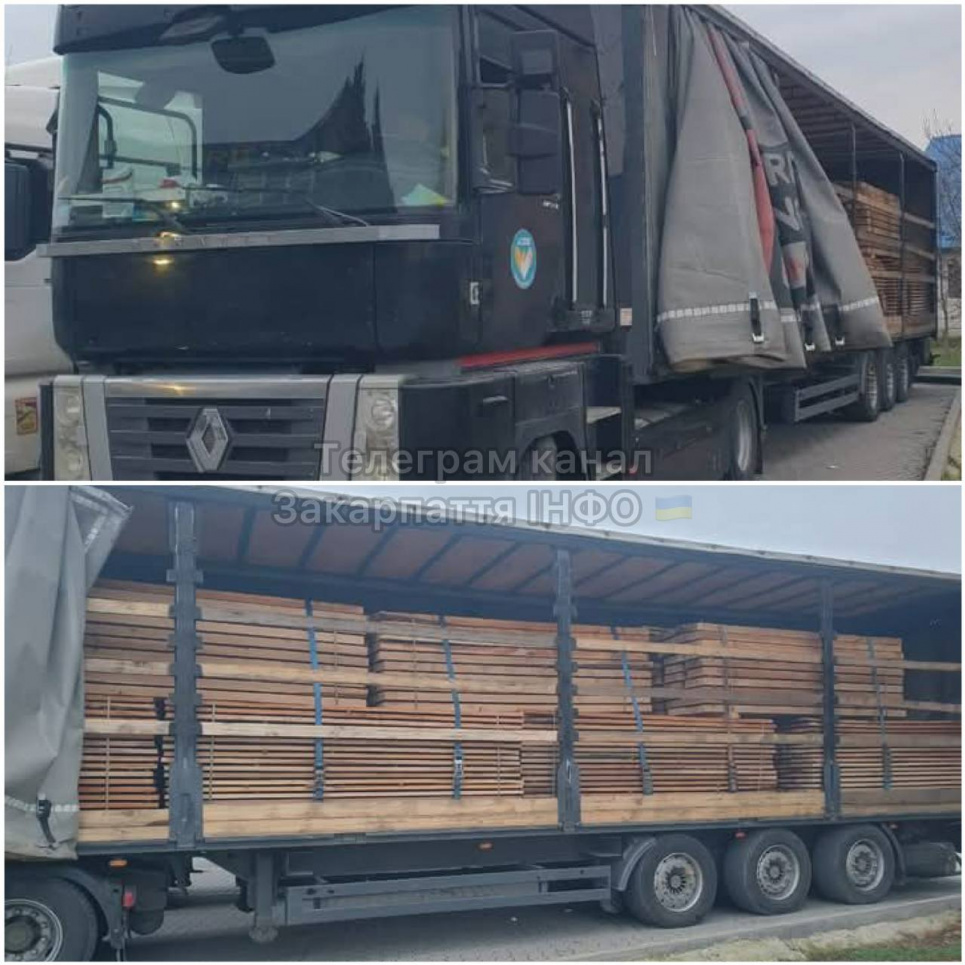 Контрабанда деревини на Закарпатті: викрито схему експорту букових дощок за підробленими документами