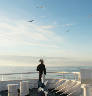 Фото иллюстративное