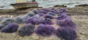 Масштабный удар по браконьерам: на Тилигульском лимане разоблачены злоумышленники с сетями и рыбой