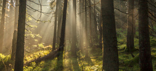 Фото: Bogomaz Conservation photography _ WWF-Ukraine