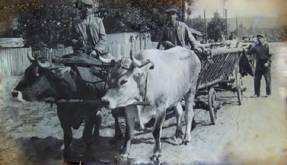 Чумацькі шляхи Одещини: відродження історичних маршрутів