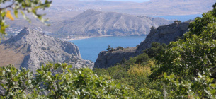 Холодильное оборудование для современного магазина: как выбрать горку для эффективной выкладки