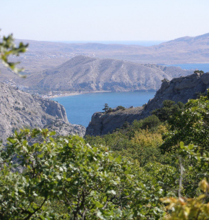 Холодильное оборудование для современного магазина: как выбрать горку для эффективной выкладки