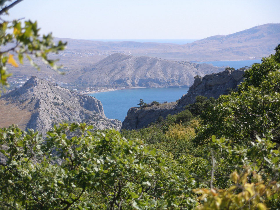 Холодильное оборудование для современного магазина: как выбрать горку для эффективной выкладки