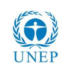 День утворення організації ООН з охорони навколишнього середовища (UNEP)
