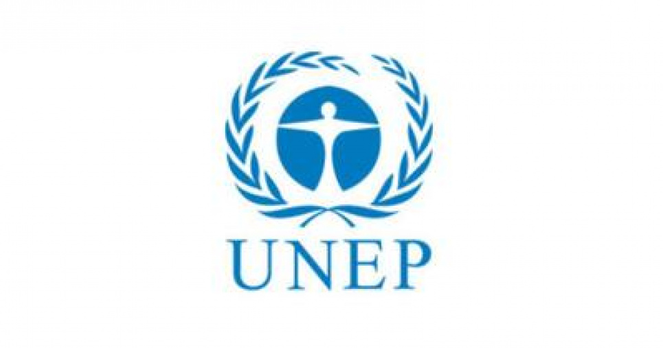 День утворення організації ООН з охорони навколишнього середовища (UNEP)