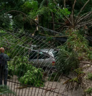 Швидкість вітру під час стихії сягала 100 км/год