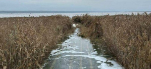 НПП «Куяльницький» запустив щорічний технічний потік морської води через гідротехнічні споруди