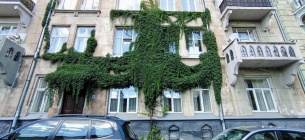 Фасад старого будинку Львова, вкритий густими зеленими ліанами (ймовірно, диким виноградом). Фото: Львівська міська рада