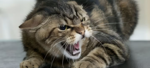 Фото иллюстративное