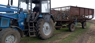 На Миколаївщині оштрафували за незаконне перевезення дерева