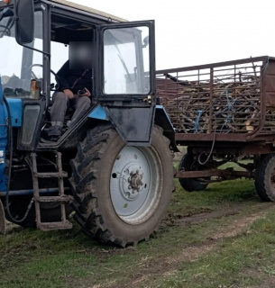В Николаевской области оштрафовали за незаконную перевозку дерева