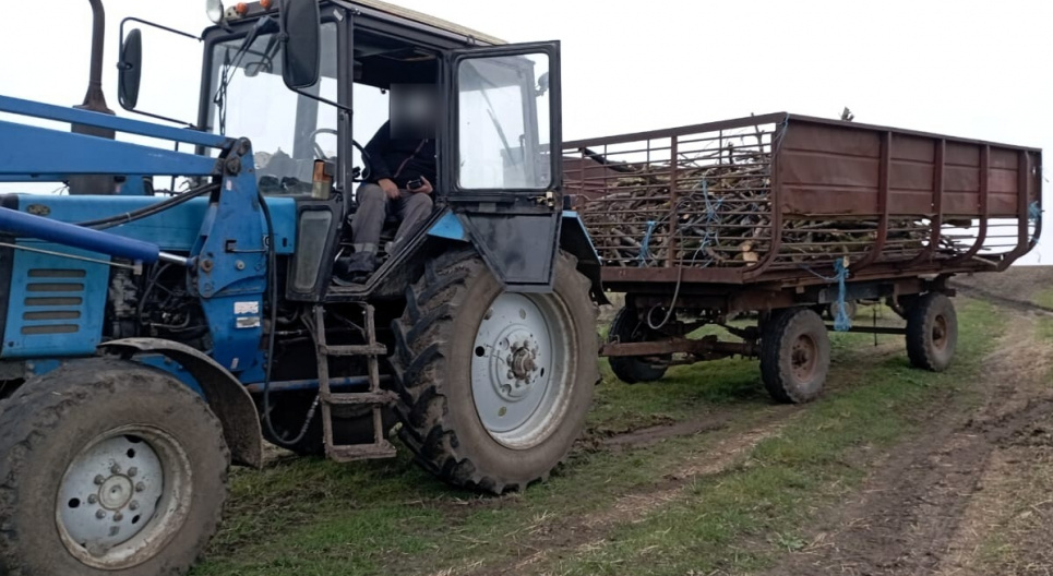 В Николаевской области оштрафовали за незаконную перевозку дерева