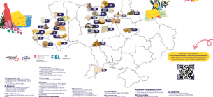 В Україні з’явилася перша інтерактивна сирна мапа: 65 найкращих сортів та виробників