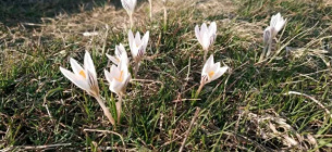 В Черкасской области создали новый памятник природы «Коврай»