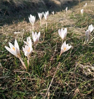 На Черкащині створили нову пам’ятку природи «Коврай»