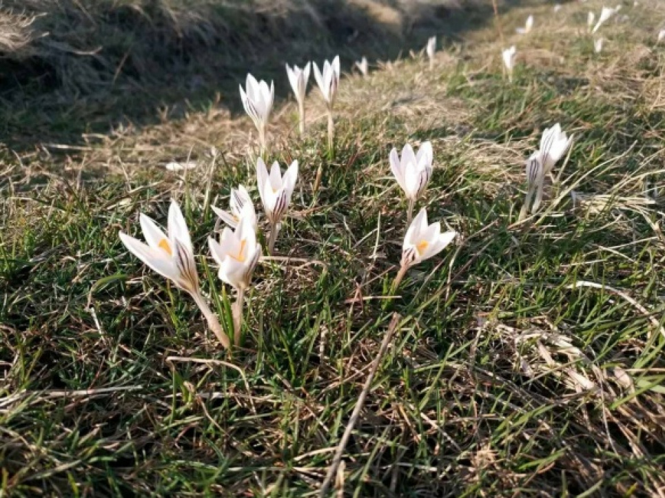 На Черкащині створили нову пам’ятку природи «Коврай»