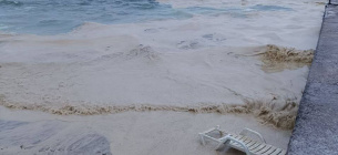 Невидимая угроза: почему разлив подсолнечного масла зимой опаснее нефти