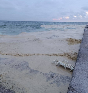 Екоцид у Чорному морі: розлив олії після обстрілів може отруювати дно понад 6 років