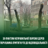 Штраф і відшкодування за «кастрацію» дерев: у Тернополі покарали порушника на проспекті Злуки