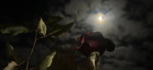 Вовча повня та Супермісяць 2026