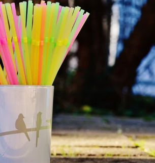 День рождения соломинки.
:Фото: Pixabay