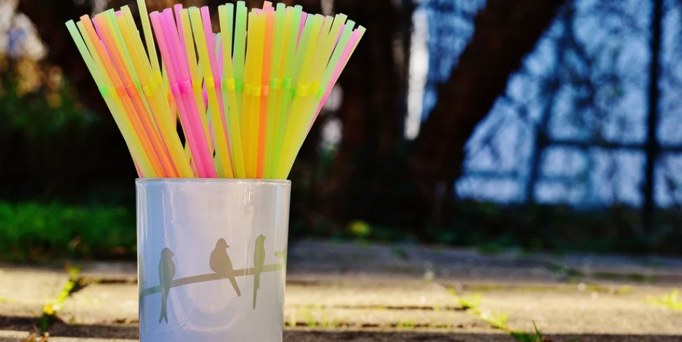 День рождения соломинки.
:Фото: Pixabay