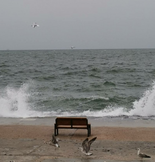 Водохреще на Чорному морі 2026.