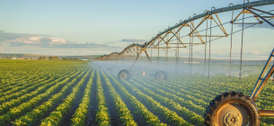 Фото иллюстративное