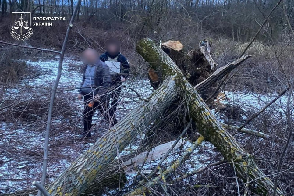 Загибель дитини через падіння дерева