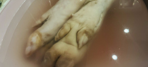 Как правильно приготовить свиные ножки — пошаговая инструкция для сохранения коллагена 