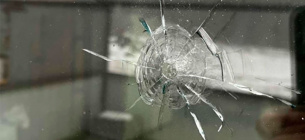 Стрілянина у Кам’янці: невідомі випустили 12 куль по вікнах притулку для тварин