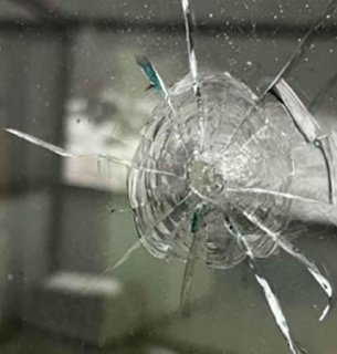 В Черкасской области неизвестные обстреляли приют для животных