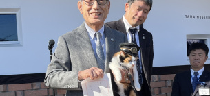 Кошачья смена: в Японии четвероногие возглавили железнодорожные станции (ФОТО)