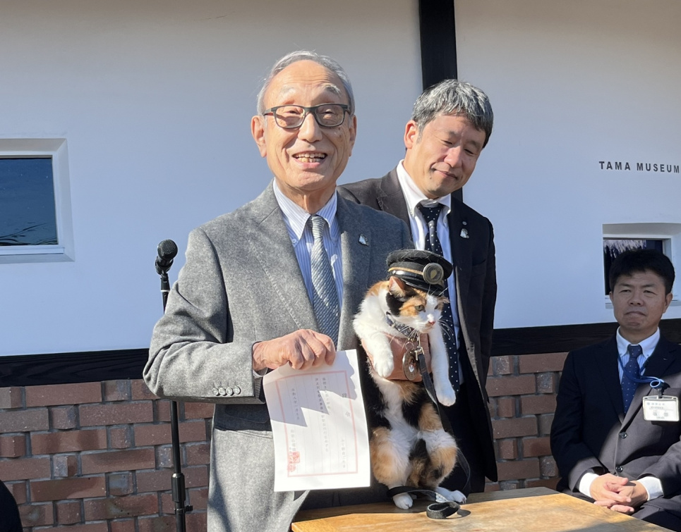Кошачья смена: в Японии четвероногие возглавили железнодорожные станции (ФОТО)