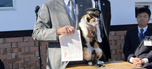 У Японії котів офіційно призначили начальниками залізничних станцій.