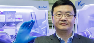 Технология ST-OPV и параметр FoMLUE: прорыв в солнечной энергетике.
Фото: The Hong Kong Polytechnic University