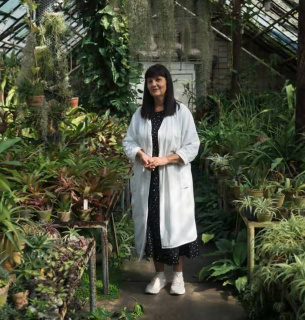 Київський ботсад ім. Гришка в біді: теплолюбні рослини гинуть через блекаути