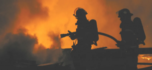 Фото: Shutterstock