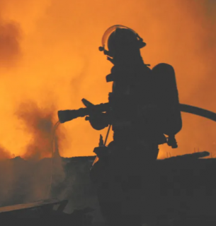 Фото: Shutterstock