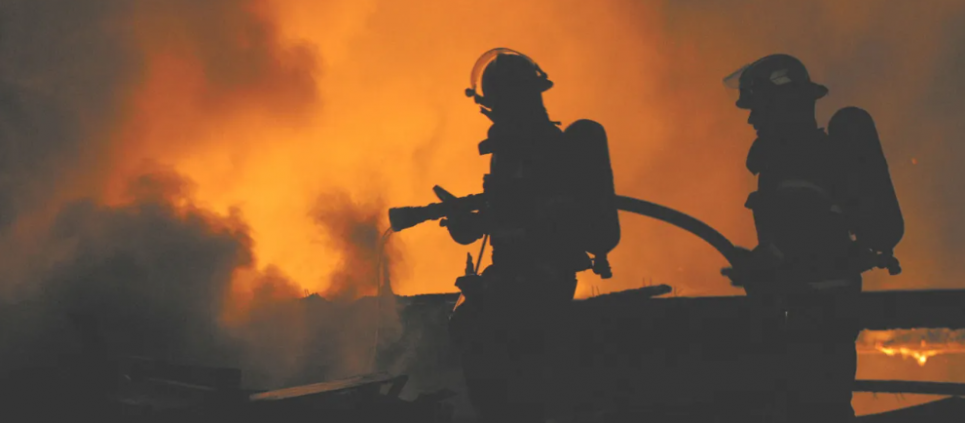 Фото: Shutterstock