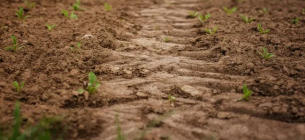 Фото з відкритих джерел