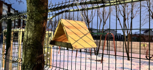 День кормления птиц 3 февраля 2026: как правильно подкармливать птиц зимой