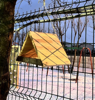 День кормления птиц 3 февраля 2026: как правильно подкармливать птиц зимой