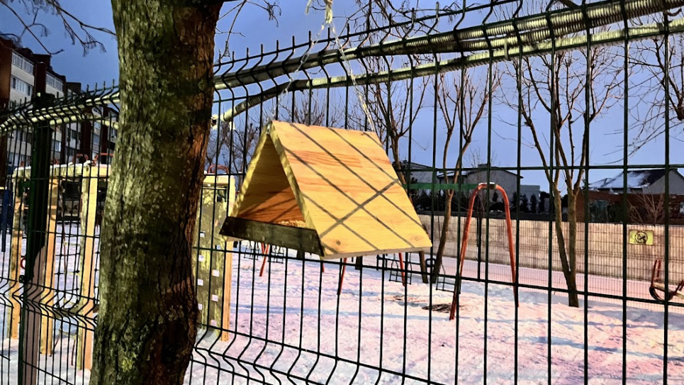 День кормления птиц 3 февраля 2026: как правильно подкармливать птиц зимой