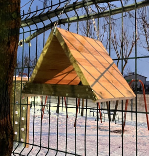 Як змайструвати ідеальну годівничку: 5 золотих правил, що врятують птахів взимку