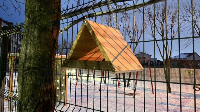 Як змайструвати ідеальну годівничку: 5 золотих правил, що врятують птахів взимку