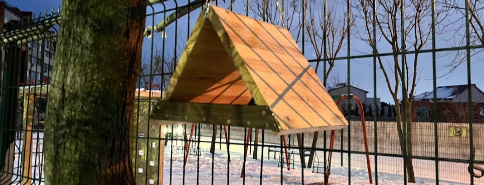 Как правильно смастерить кормушку, которая не навредит птицам